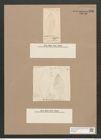 Navicula annulata Grun. (de-Toni-Nr.: Genus 1, Species 174) Zeichnungen Sammlung Grunow Nr. 470 (NHMW-BOT-W0366818)